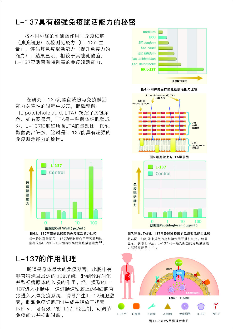 12月展會用-L-137產(chǎn)品介紹資料-初稿_頁面_3