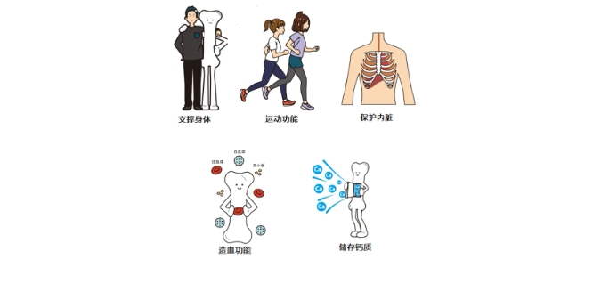 微信截圖_20250123114254 微信截圖_20250123114254