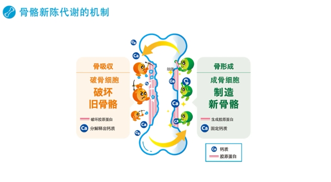 微信截圖_20250123114333 微信截圖_20250123114333